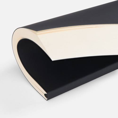 Ежедневник Flat Light, недатированный, черный фото 6