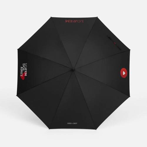 Зонт-трость Rainzee, ver.2, черный фото 8