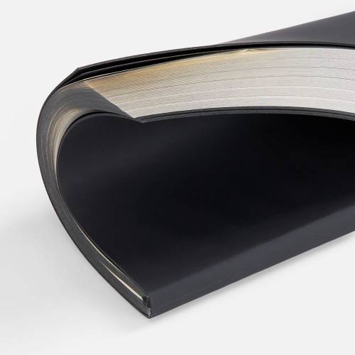 Ежедневник Flat Maxi, недатированный, черный фото 9