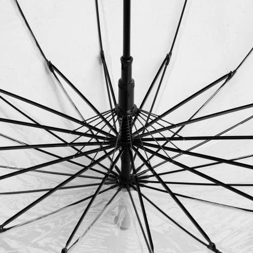 Прозрачный зонт-трость Clear 16 фото 4