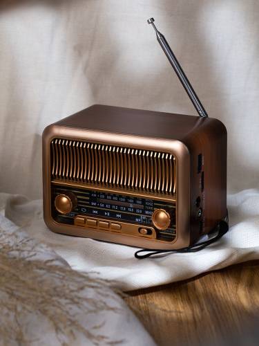 Bluetooth-колонка с радио Beatnik, коричневая фото 10