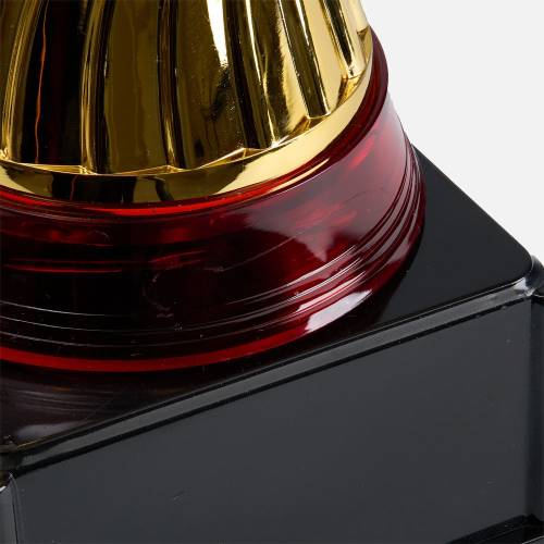 Кубок Awardee, средний, красный фото 7