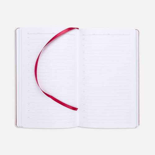 Ежедневник Nova Metal, недатированный, красный фото 7