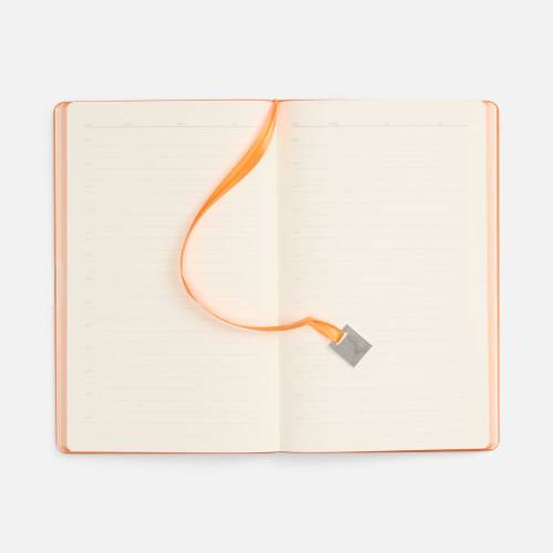Ежедневник Shall Light, недатированный, оранжевый фото 8