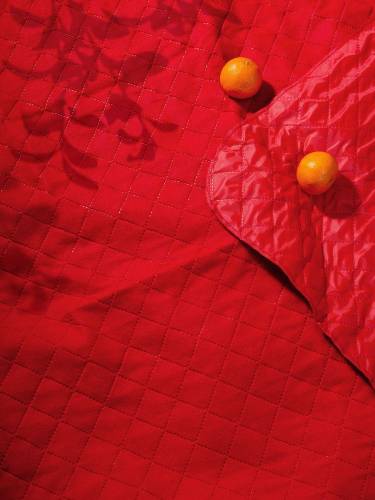 Плед для пикника Soft & Dry, темно-красный фото 7