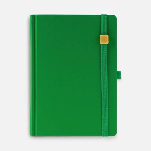 Ежедневник Favor Gold, недатированный, ярко-зеленый Ежедневник Favor Gold, недатированный, ярко-зеленый