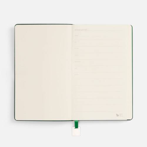 Ежедневник Shall Light, недатированный, зеленый фото 7