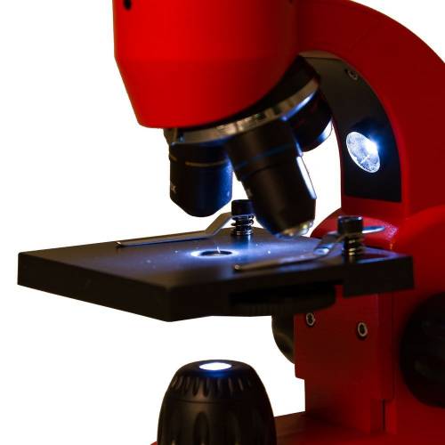 Монокулярный микроскоп Rainbow 50L с набором для опытов, красный фото 7