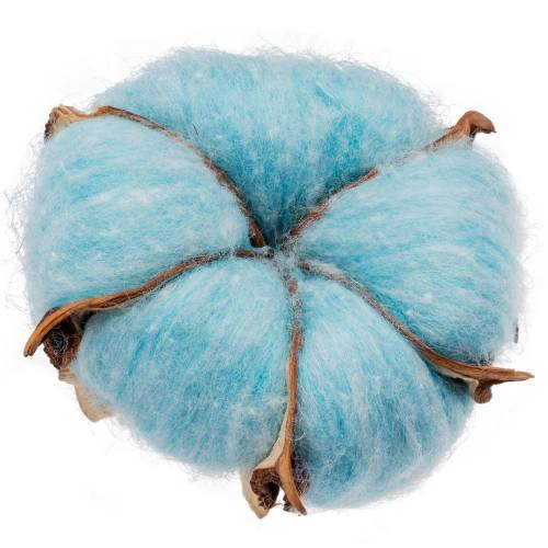 Цветок хлопка Cotton, голубой фото 2