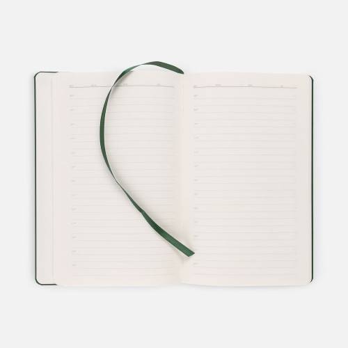 Ежедневник Magnet Shall, недатированный, зеленый фото 10