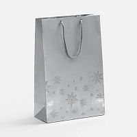 Пакет Wintry, серебристый Пакет Wintry, серебристый