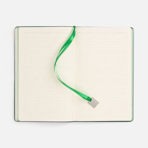 Ежедневник Shall Light, недатированный, зеленый фото 8