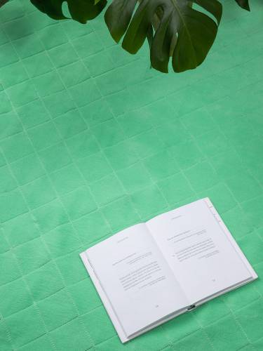 Плед для пикника Soft & Dry 2, светло-зеленый фото 9