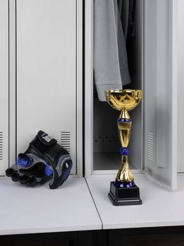 Кубок Awardee, средний, синий фото 6