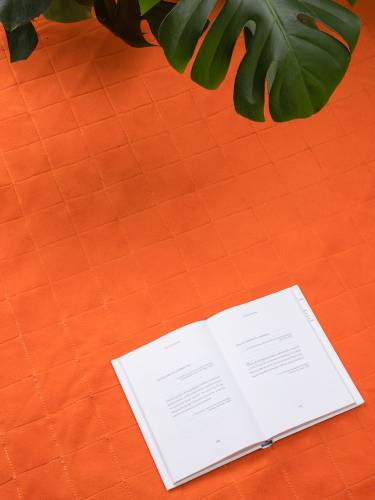 Плед для пикника Soft & Dry 2, оранжевый фото 10