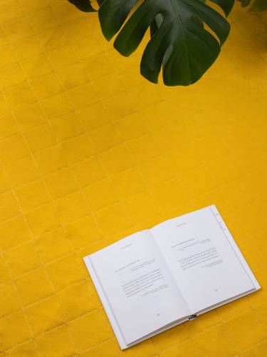 Плед для пикника Soft & Dry 2, желтый фото 10 Плед для пикника Soft & Dry 2, желтый фото 10