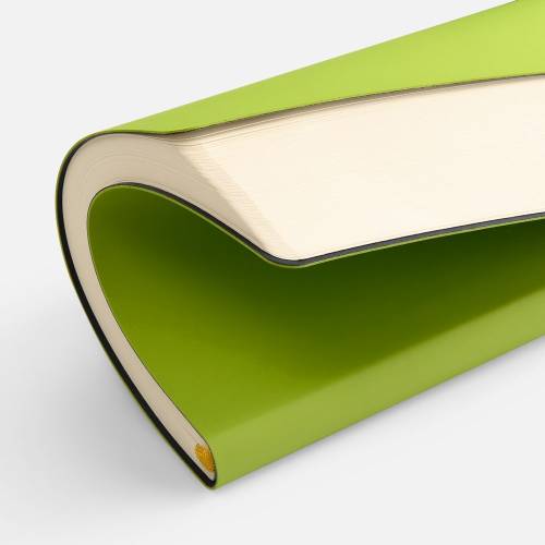 Ежедневник Flex Shall New, недатированный, светло-зеленый фото 8 Ежедневник Flex Shall New, недатированный, светло-зеленый фото 8