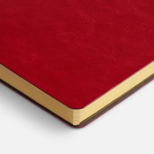 Ежедневник Nebraska Flex, недатированный, красный с золотистым фото 7