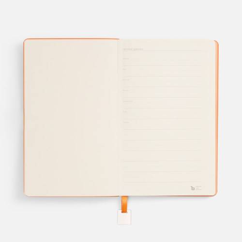 Ежедневник Shall Light, недатированный, оранжевый фото 7