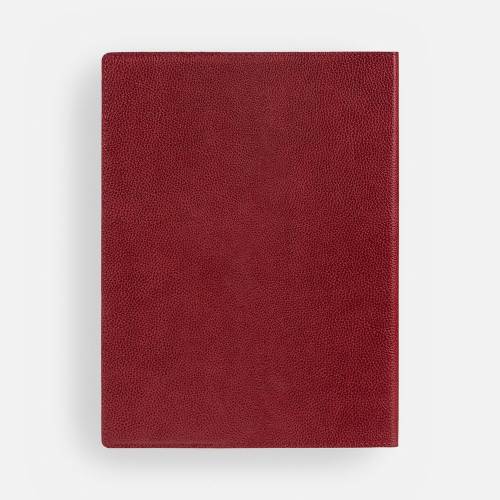 Ежедневник в суперобложке Brave Book, недатированный, красный фото 4