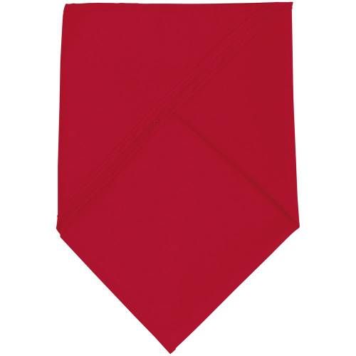 Шейный платок Bandana, красный фото 3