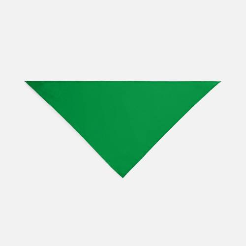 Шейный платок Bandana, ярко-зеленый фото 4 Шейный платок Bandana, ярко-зеленый фото 4