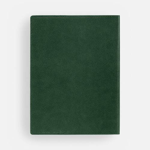 Ежедневник в суперобложке Brave Book, недатированный, зеленый фото 4