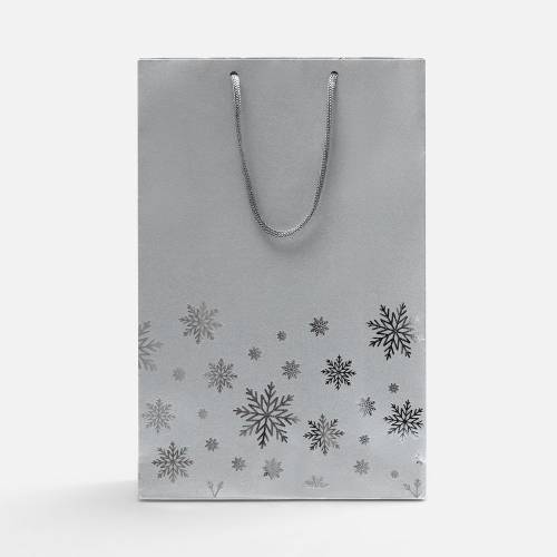 Пакет Wintry, серебристый фото 3