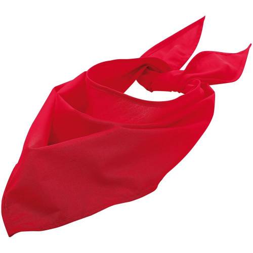 Шейный платок Bandana, красный фото 2