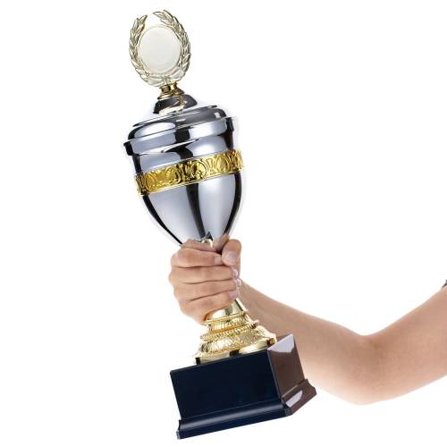 Кубок EnterPrize, серебристый фото 5