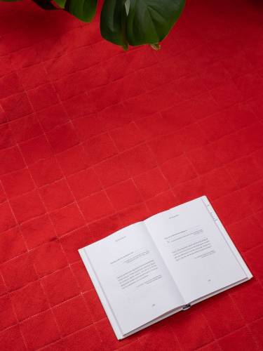 Плед для пикника Soft & Dry 2, красный фото 10