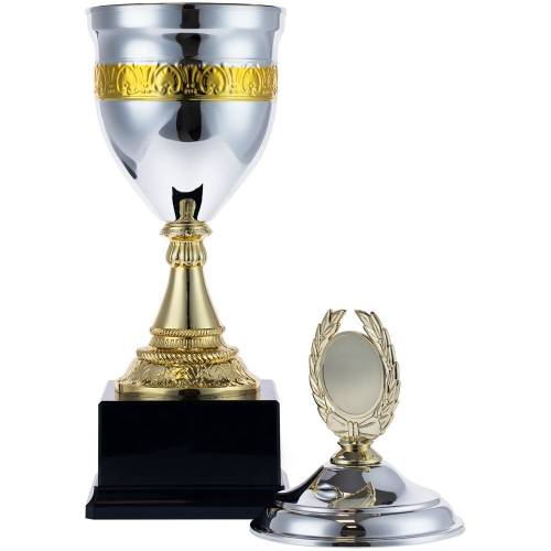 Кубок EnterPrize, серебристый фото 4