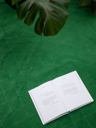 Плед для пикника Soft & Dry 2, зеленый фото 9