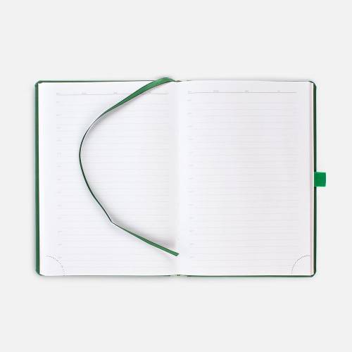Ежедневник Favor Gold, недатированный, ярко-зеленый фото 6 Ежедневник Favor Gold, недатированный, ярко-зеленый фото 6