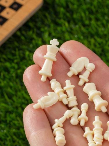 Шахматы дорожные Damier фото 7 Шахматы дорожные Damier фото 7