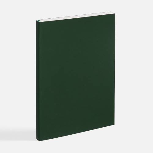 Ежедневник Flat Light ver.2, недатированный, зеленый фото 3