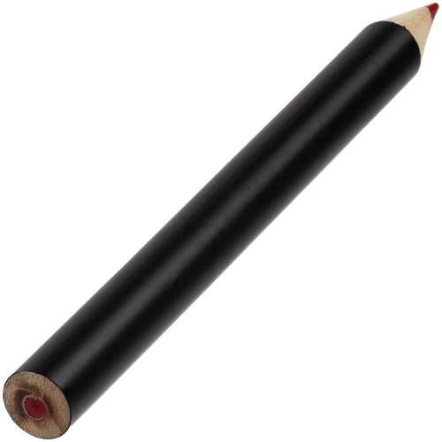 Набор цветных карандашей Pencilvania Tube Plus, черный фото 4