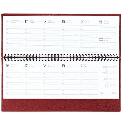 Планинг Sagrin, датированный, красный фото 6