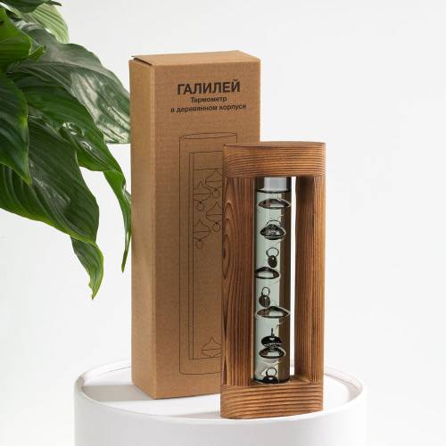 Термометр «Галилей» в деревянном корпусе, серый фото 9