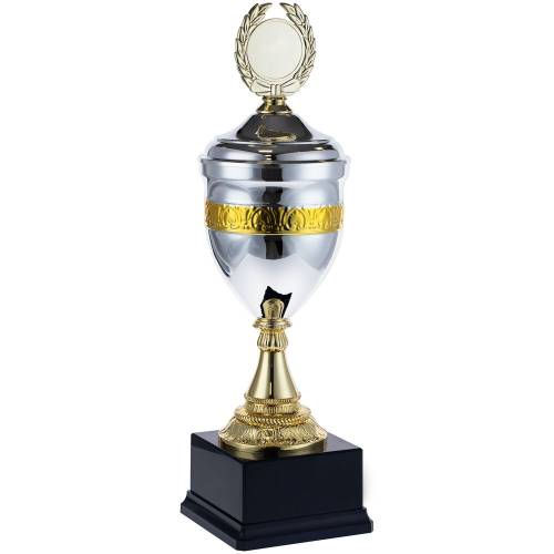 Кубок EnterPrize, серебристый фото 3